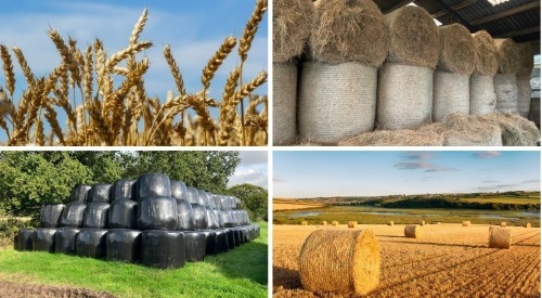 The South West January Fodder Online Timed Auction