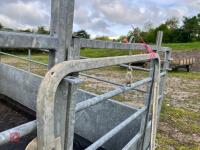 WM IRONWORKS FOOT BATH TRAILER - 30