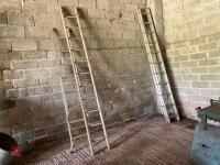 2 MIXED LADDERS