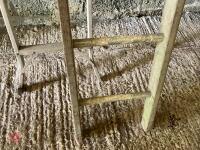 2 MIXED LADDERS - 2