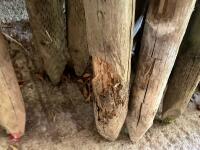 22 USED WOODEN STAKES - 4