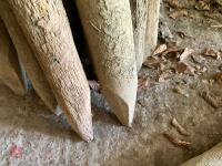 22 USED WOODEN STAKES - 6