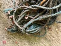 LENGTH OF ROPE - 3