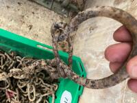 BOX OF COW CHAINS - 4