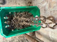 BOX OF COW CHAINS - 6