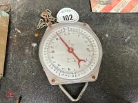 SCALE WEIGH HEAD - 7
