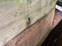 5 SHEETS OF PLY BOARD - 5