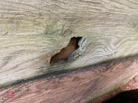 5 SHEETS OF PLY BOARD - 6