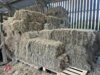 40 CONVENTIONAL BALES OF 2025 HAY - BIDS PER GROUP