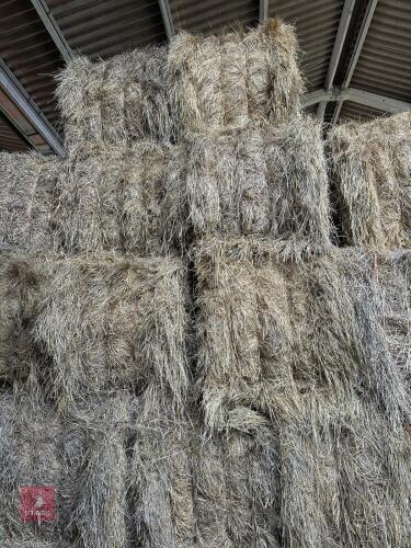 10 SQUARE BALES OF 2025 MEADOW HAY - BIDS PER BALE