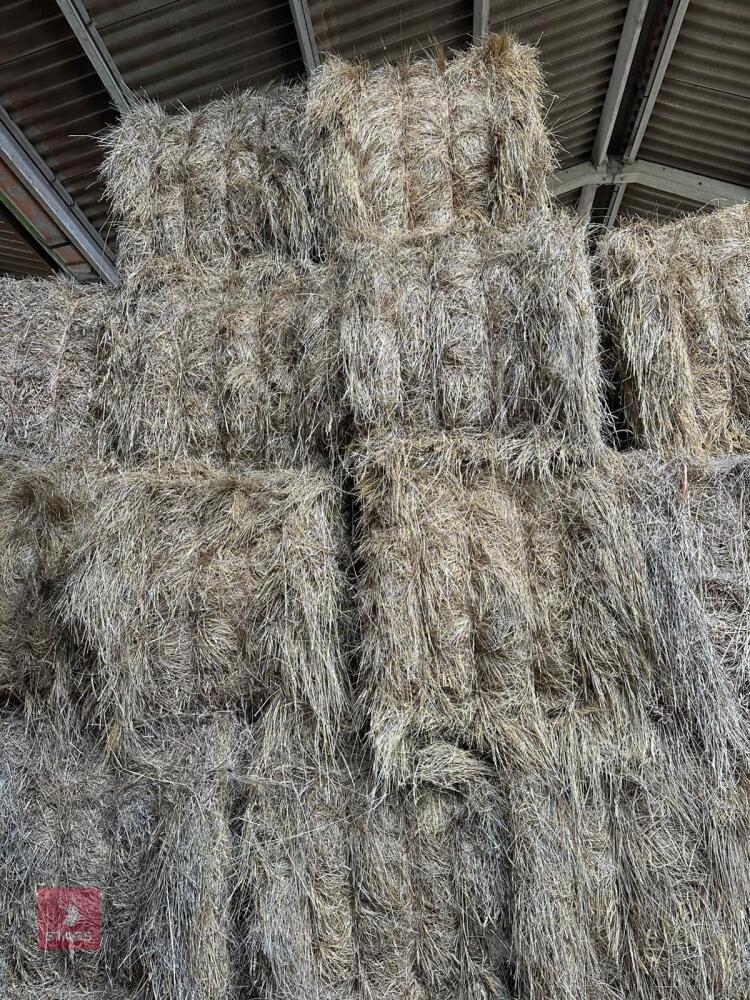 10 SQUARE BALES OF 2025 MEADOW HAY - BIDS PER BALE
