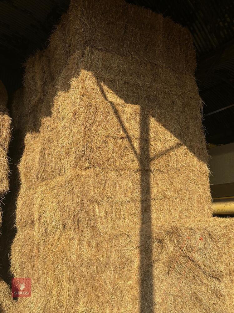 27 SQUARE BALES OF 2025 HAY - BIDS PER BALE
