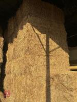 27 SQUARE BALES OF 2025 HAY - BIDS PER BALE