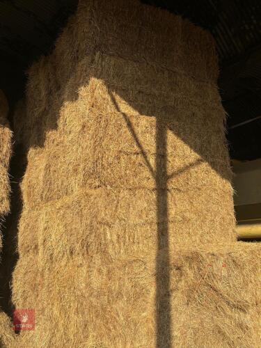 10 SQUARE BALES OF 2025 HAY - BIDS PER BALE