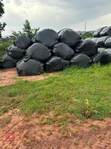 50 ROUND BALES OF 2025 HAYLAGE - BIDS PER BALE