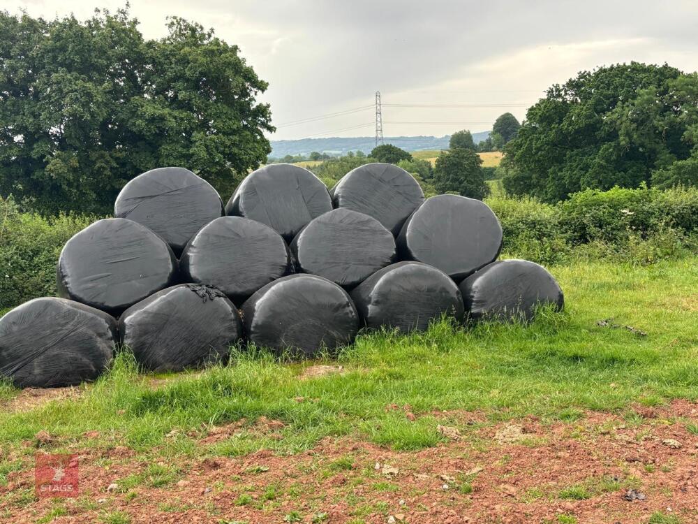 74 ROUND BALES OF 2025 SILAGE - BIDS PER BALE