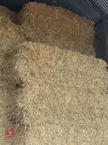 27 BALES OF 2025 WHEAT STRAW - BIDS PER BALE