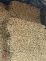 27 BALES OF 2025 WHEAT STRAW - BIDS PER BALE
