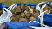 DUMPY BAG OF LOGS