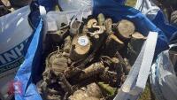DUMPY BAG OF LOGS - 3