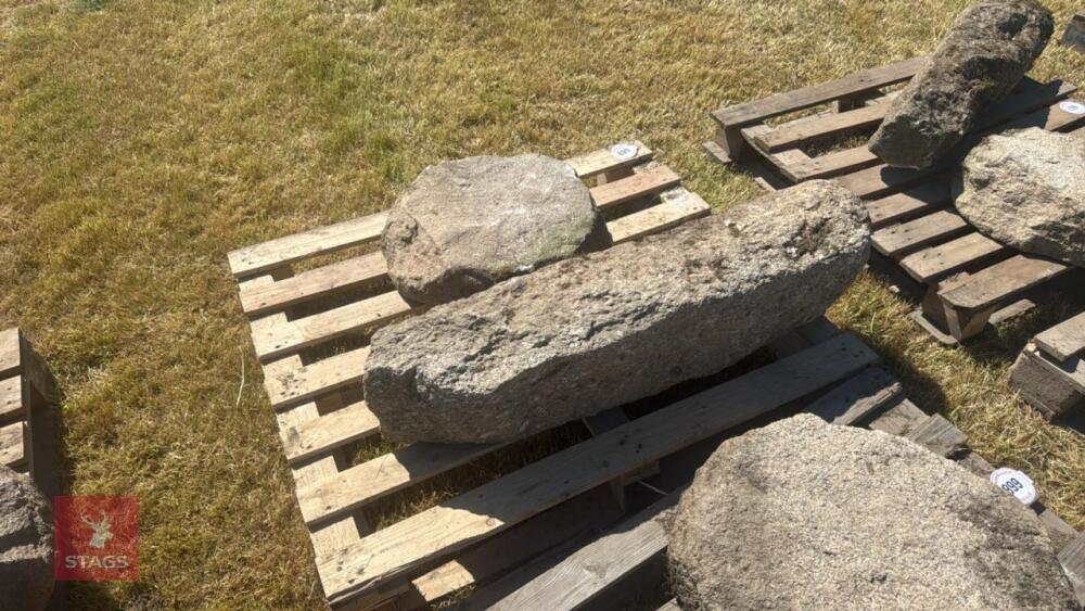 GRANITE MUSHRPOOM/ STADDLE STONE