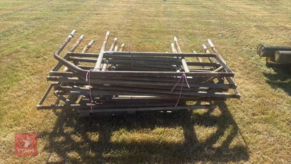11 COW CUBICLE SECTIONS