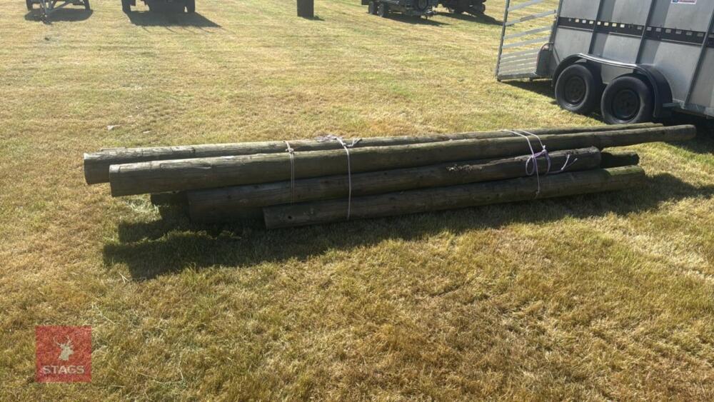 12 LARGE TIMBER POLES