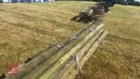 12 LARGE TIMBER POLES - 8