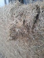 40 SQUARE BALES OF 2025 HAY - 3