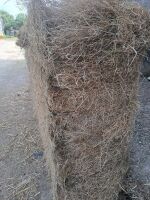 40 SQUARE BALES OF 2025 HAY - 4