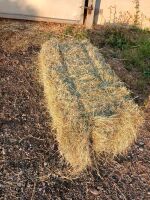 50 CONVENTIONAL BALES OF MEADOW - BIDS FOR THE GROUP - 2