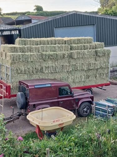 100 CONVENTIONAL BALES OF MEADOW - BIDS FOR THE GROUP
