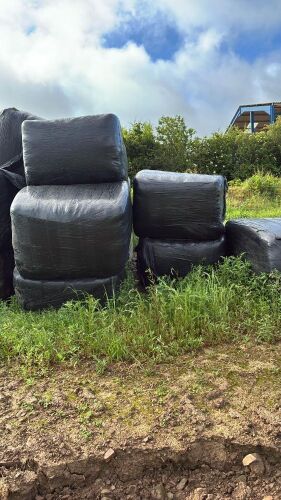 20 BALES OF 2025 PEAS AND BARLEY - BIDS PER BALE