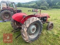 1964 MASSEY FERGUSON 35X 2WD TRACTOR - 4