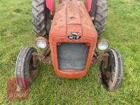 1964 MASSEY FERGUSON 35X 2WD TRACTOR - 19