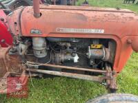 1964 MASSEY FERGUSON 35X 2WD TRACTOR - 22