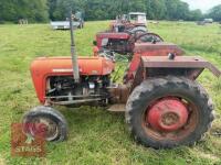 1962 MASSEY FERGUSON 35 2WD TRACTOR - 19