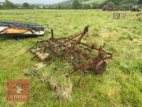 2.5M SPRING TINE CULTIVATOR - 6