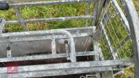 IAE GALVANISED TURN-OVER CRATE - 10