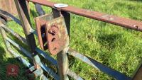 8' 6'' BUCKRAKE - 11