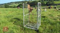 GALVANISED STILLAGE - 4