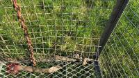 GALVANISED STILLAGE - 10