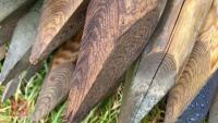 40 X 5' PLUS WOODEN FENCE STAKES - 7