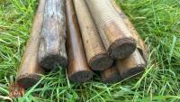 13 X 4'4'' WOODEN FENCE STAKES - 4