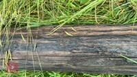 6'4'' GATE POST/TELEGRAPH POLE - 3