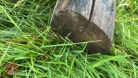 6'4'' GATE POST/TELEGRAPH POLE - 5