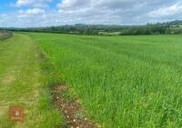 11.69 ACRES OF SPRING BARLEY STANDING STRAW