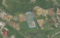 34.94 ACRES OF WINTER WHEAT STANDING STRAW - 3