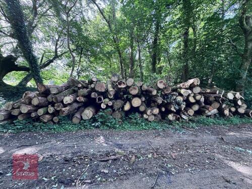 OAK TIMBER FOR FIREWOOD