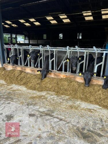 3 HEAVY DUTY BATEMAN LOCKING YOKES